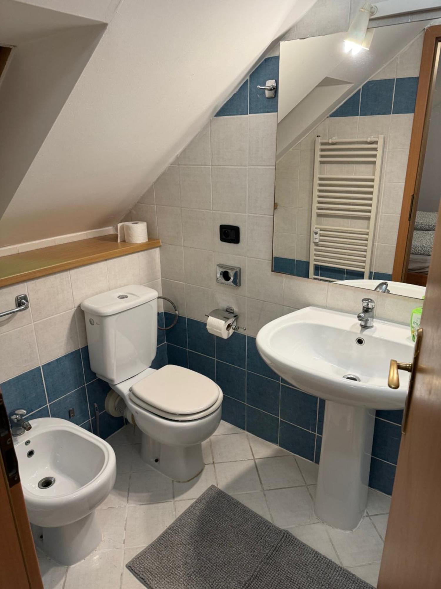 Vitkova Duplex With Terrace Near Florenc * Prag